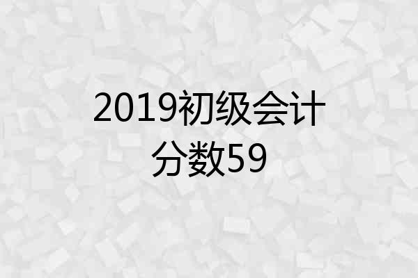 2019初级会计分数59