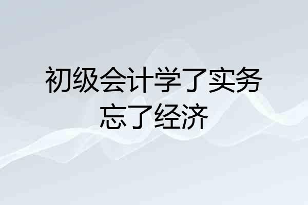 初级会计学了实务忘了经济