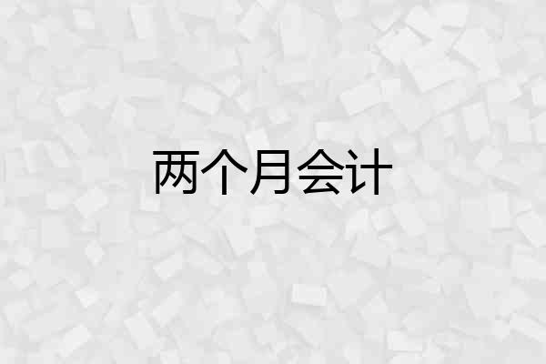 两个月会计