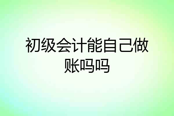 初级会计能自己做账吗吗
