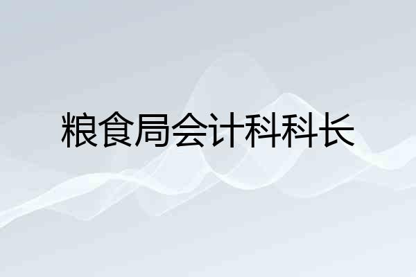 粮食局会计科科长