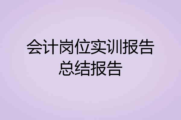会计岗位实训报告总结报告