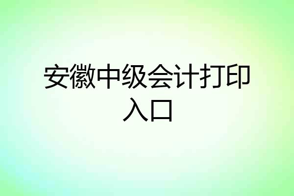 安徽中级会计打印入口