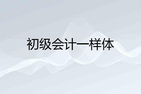 初级会计一样体