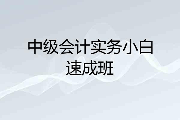 中级会计实务小白速成班