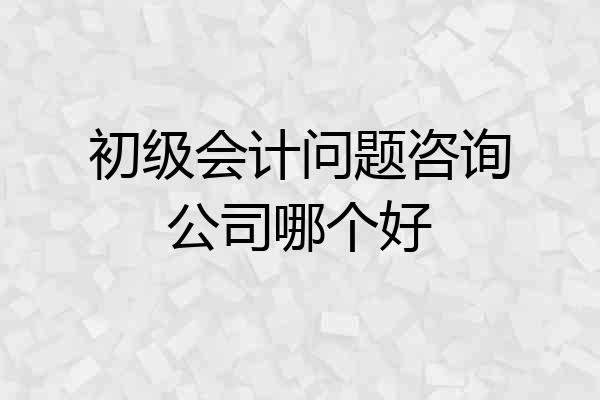 初级会计问题咨询公司哪个好