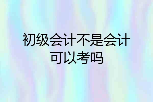 初级会计不是会计可以考吗