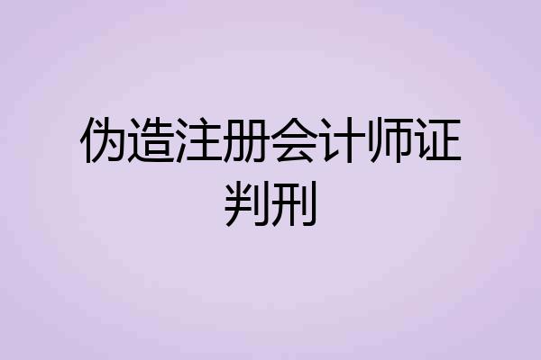 伪造注册会计师证判刑