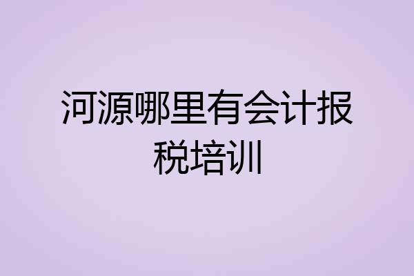 河源哪里有会计报税培训
