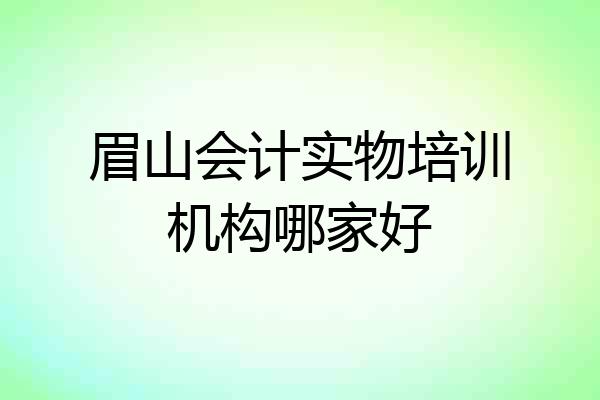 眉山会计实物培训机构哪家好