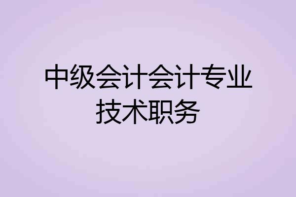 中级会计会计专业技术职务