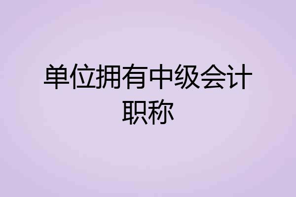 单位拥有中级会计职称