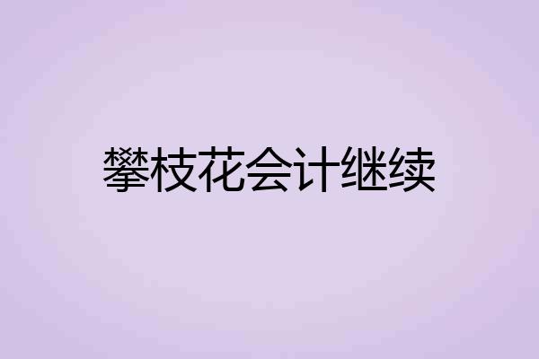 攀枝花会计继续