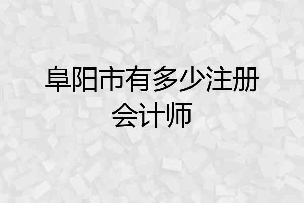 阜阳市有多少注册会计师