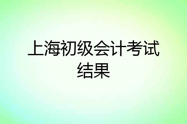 上海初级会计考试结果