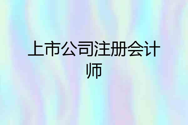 上市公司注册会计师