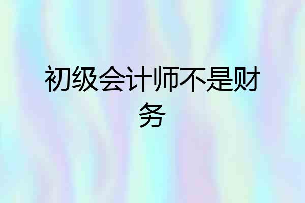 初级会计师不是财务