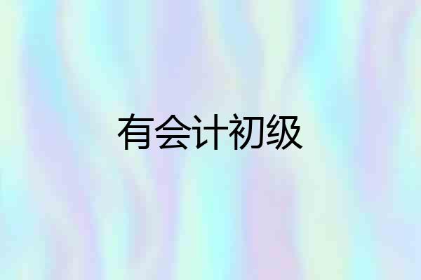 有会计初级