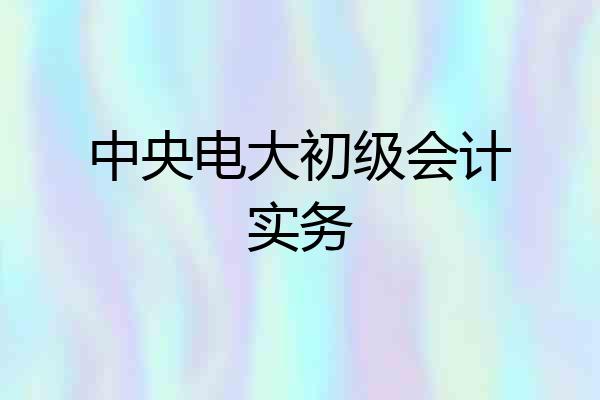 中央电大初级会计实务