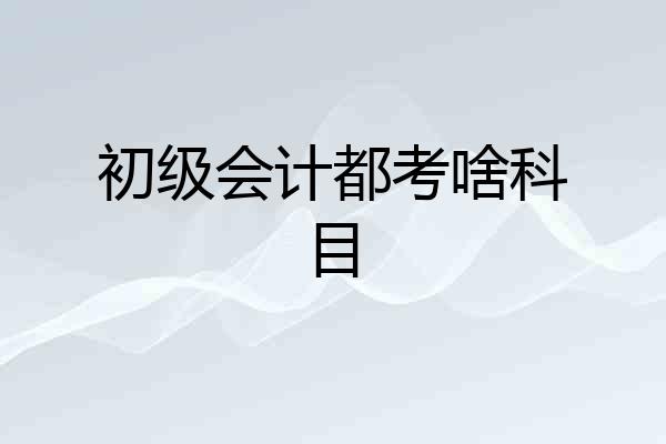 初级会计都考啥科目