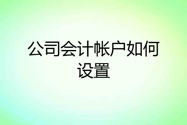 公司会计帐户如何设置