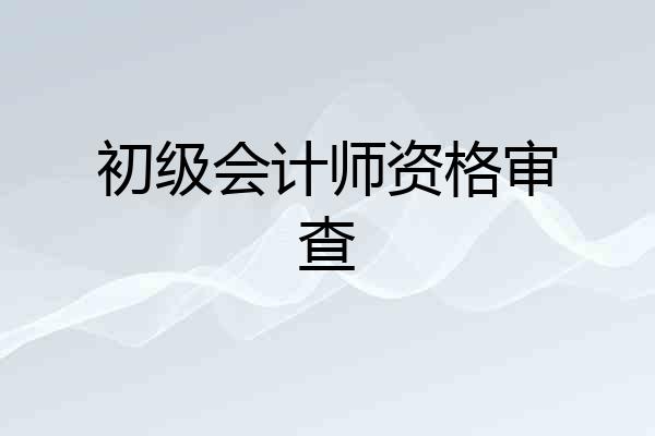 初级会计师资格审查