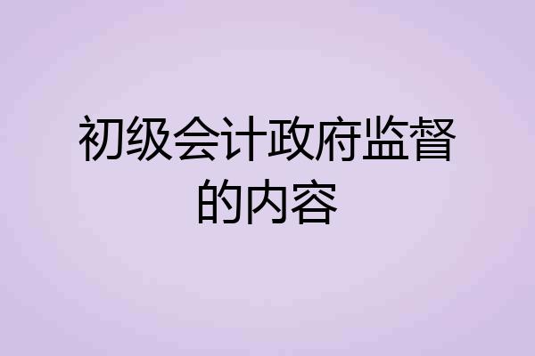 初级会计政府监督的内容