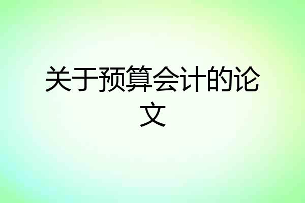 关于预算会计的论文