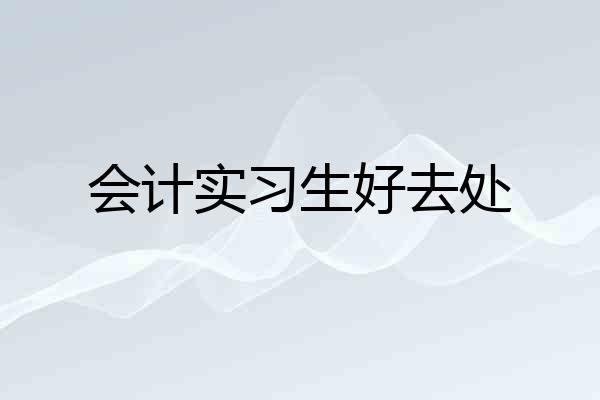会计实习生好去处