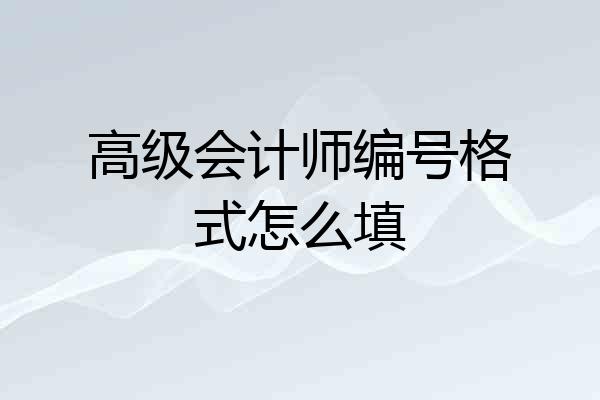高级会计师编号格式怎么填
