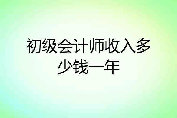 初级会计师收入多少钱一年