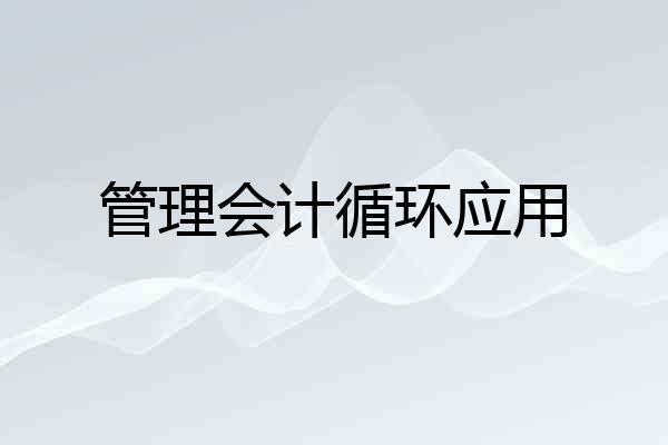 管理会计循环应用