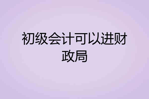 初级会计可以进财政局