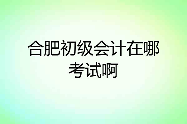 合肥初级会计在哪考试啊