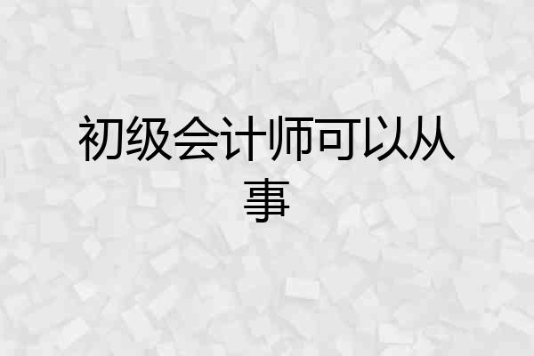 初级会计师可以从事