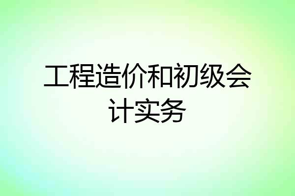 工程造价和初级会计实务