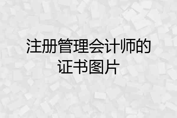 注册管理会计师的证书图片
