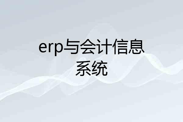 erp与会计信息系统