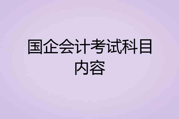 国企会计考试科目内容