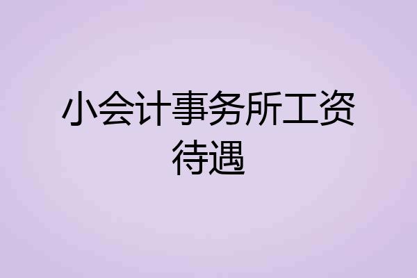 小会计事务所工资待遇