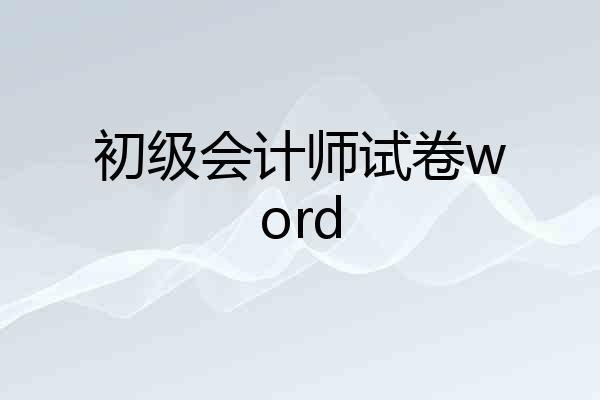 初级会计师试卷word