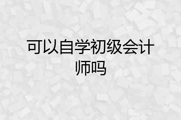 可以自学初级会计师吗