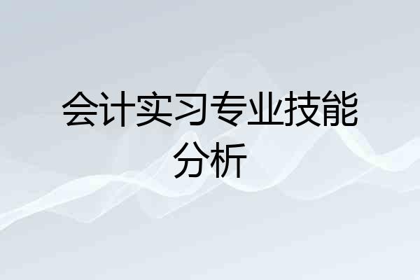 会计实习专业技能分析
