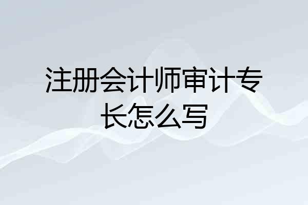 注册会计师审计专长怎么写