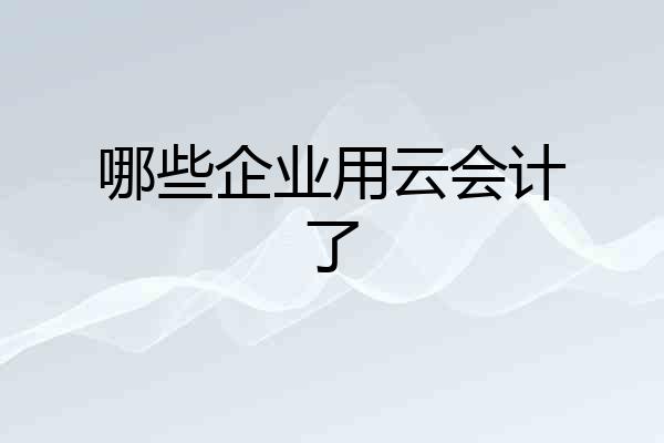 哪些企业用云会计了