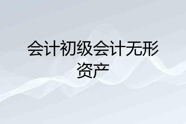 会计初级会计无形资产