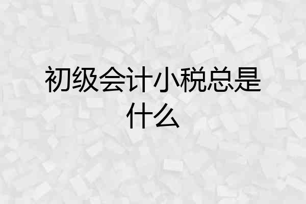 初级会计小税总是什么