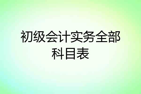 初级会计实务全部科目表