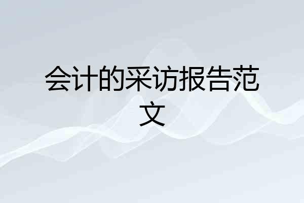 会计的采访报告范文