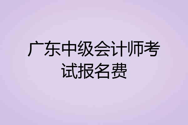 广东中级会计师考试报名费